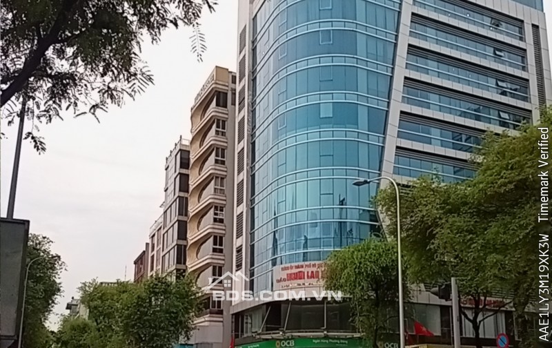 VIP Võ Văn Tần, Quận 3 - P6 – 7.3 x 10.8M – 4 tầng – 21.5 tỷ
